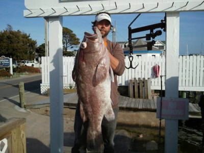 Fish on the Current Nick Piland, mate aboard Drum Stick, showed off this snowy grouper caught during an offshore trip last week. This was one of several groupers that weighed in around 40 pounds.